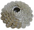 Keramikblomma vit 43x18H cm
