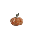 Pumpa ø 12x10 cm senap
