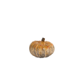 Pumpa ø 10x7 cm melerad