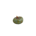 Pumpa ø 10x7 cm grön