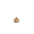 Pumpa ø5x5 cm melerad
