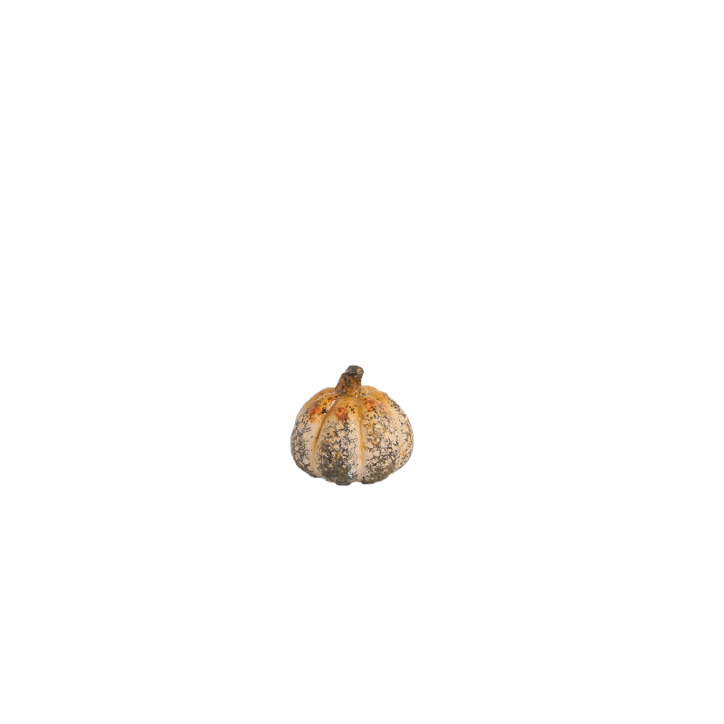 Pumpa ø5x5 cm melerad