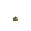 Pumpa ø 5x5 cm Grön